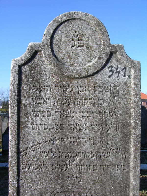 Grave 341
