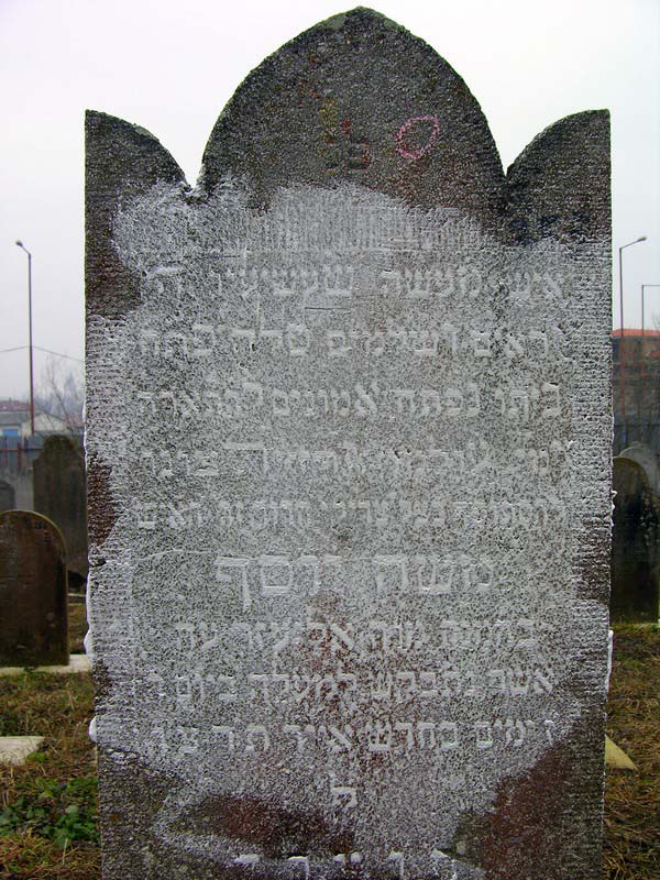 Grave 355