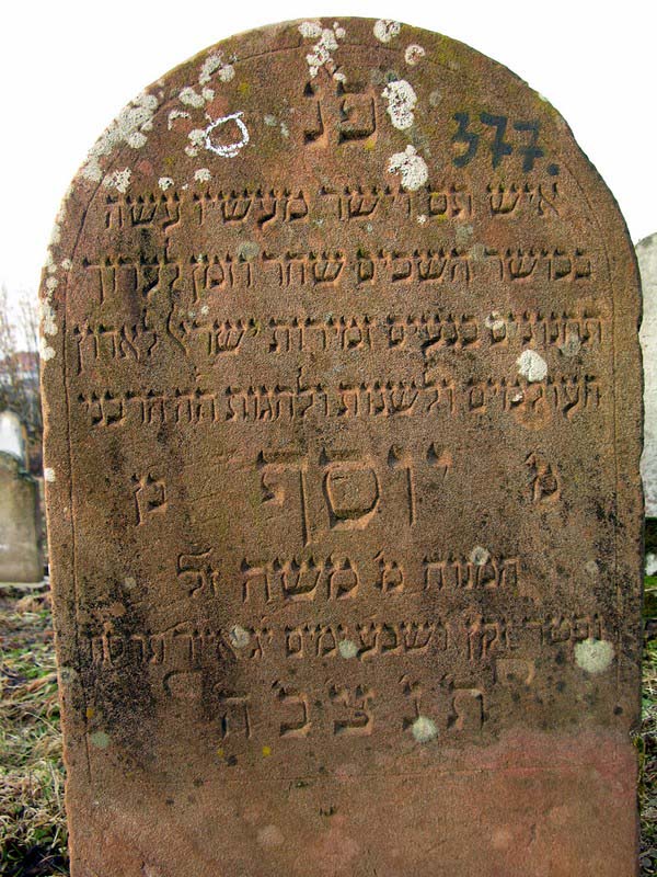 Grave 377