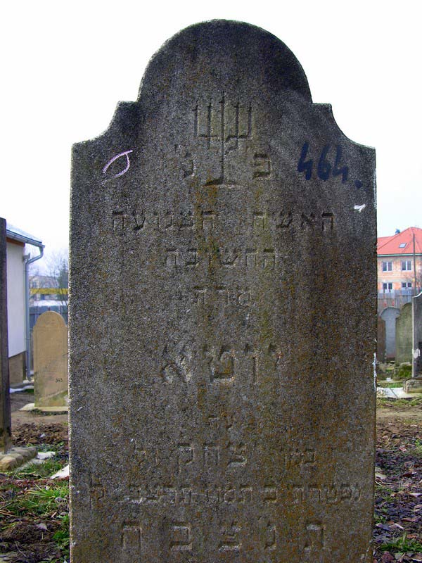 Grave 464
