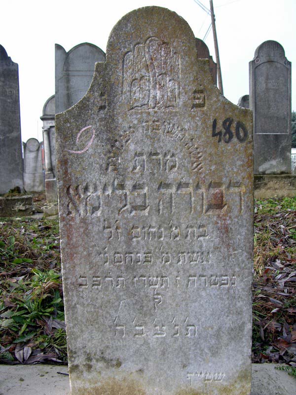 Grave 480