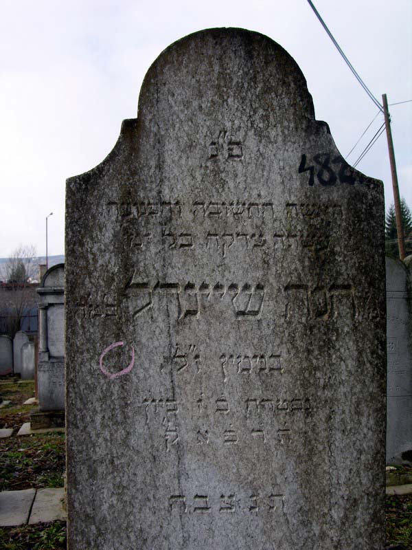 Grave 482
