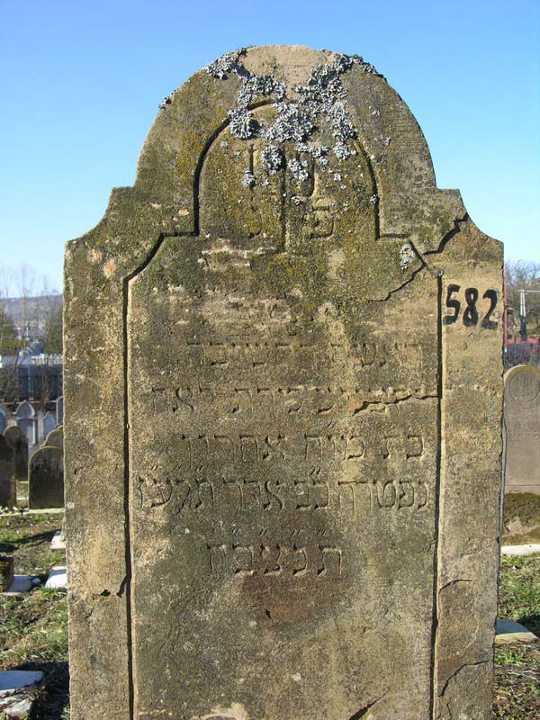 Grave 582