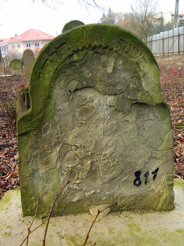 Grave 811