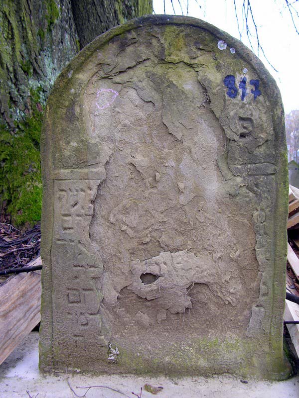 Grave 817