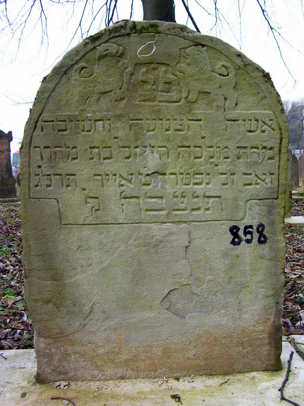 Grave 858