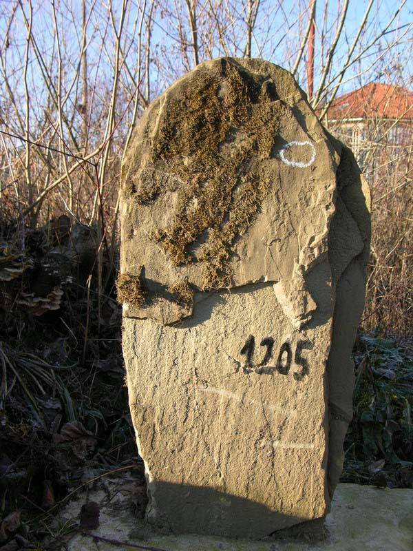 Grave 1205